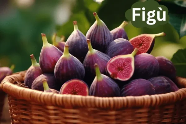 Figù