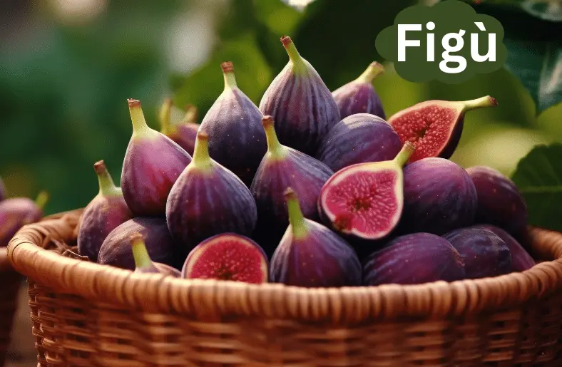 Figù