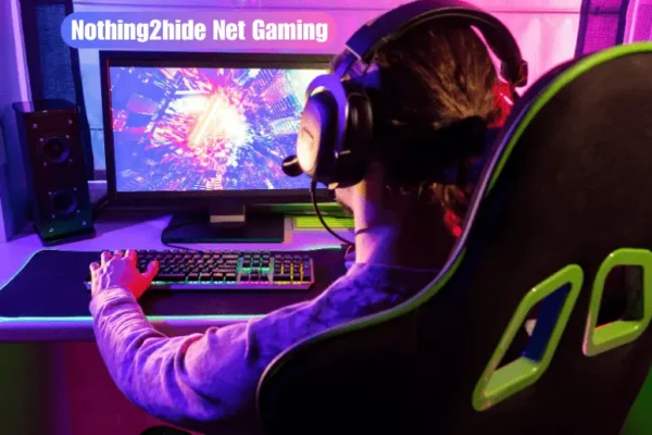 Nothing2hide Net Gaming