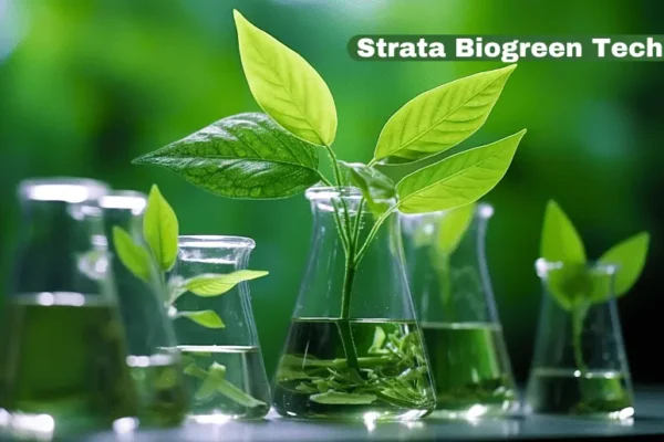 Strata Biogreen Tech